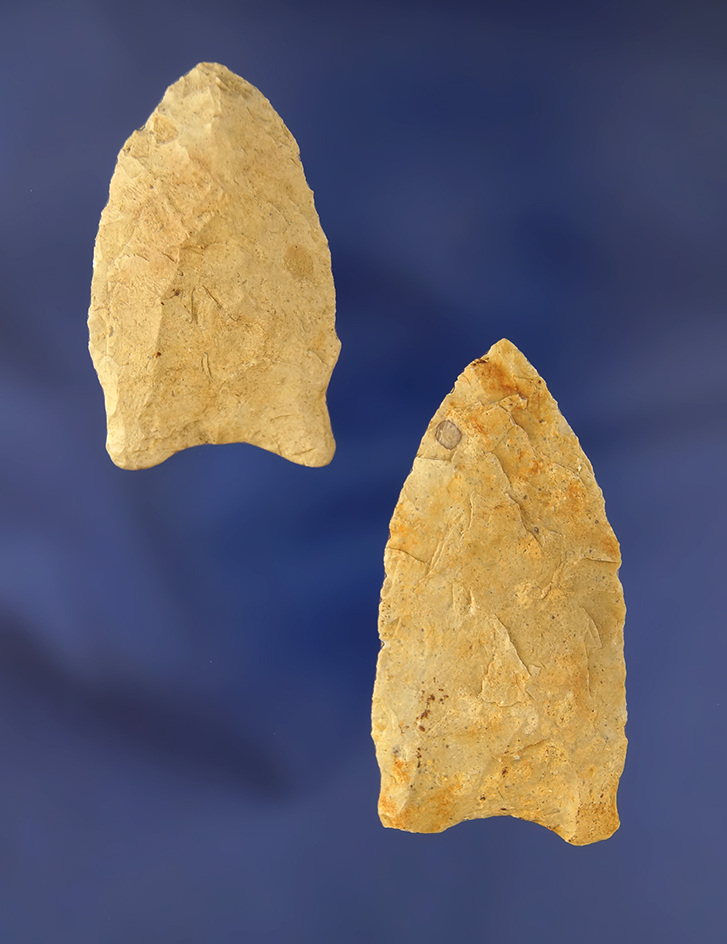 Pair of Paleo Dart Points found in Michigan, largest is 2 3/16".