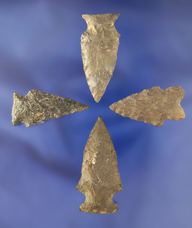 Set of four Arrowheads found in Michigan, largest is 1 13/16".