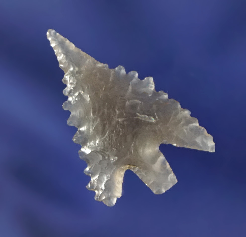 Superb serrations on this highly translucent 1" Obsidian Gempoint - Shasta Co., California.