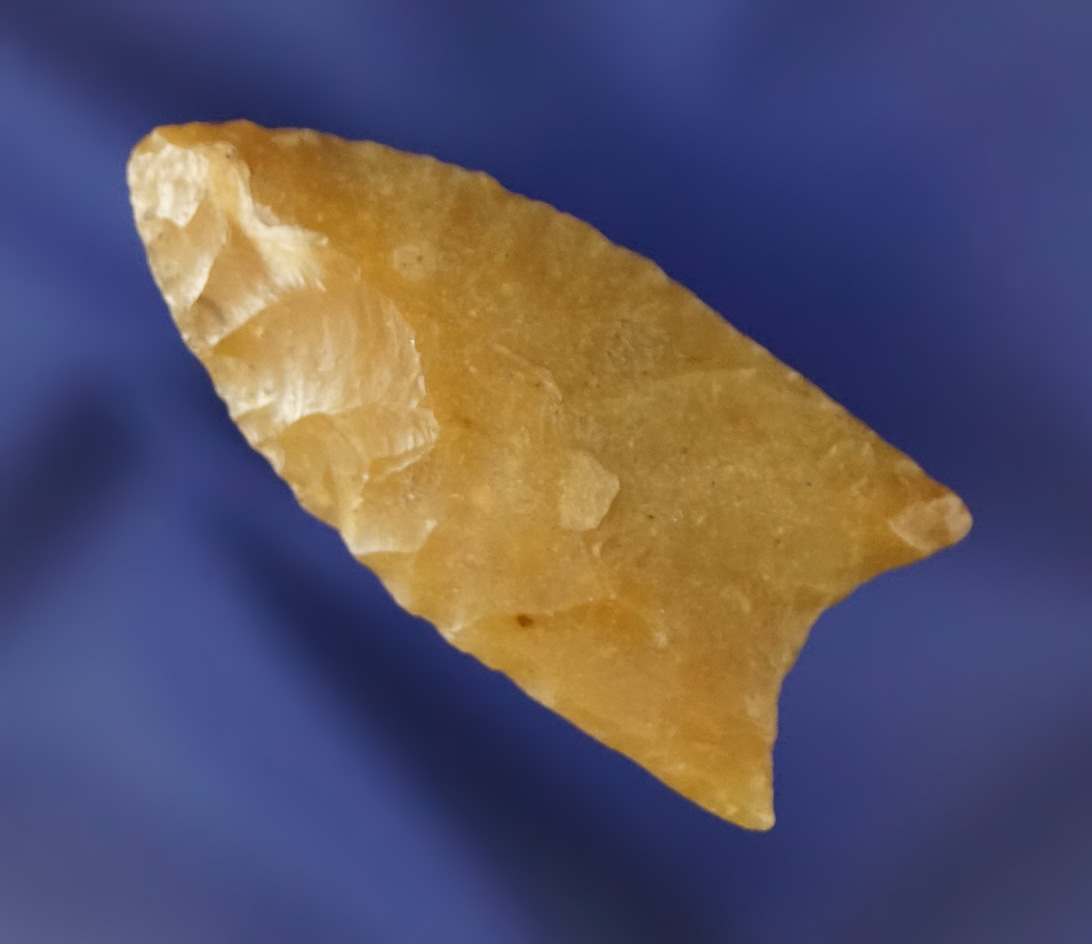 Exceptional! 1 5/8" beautifully patinated Plainview - attractive Agate - Wyoming. Rogers COA.