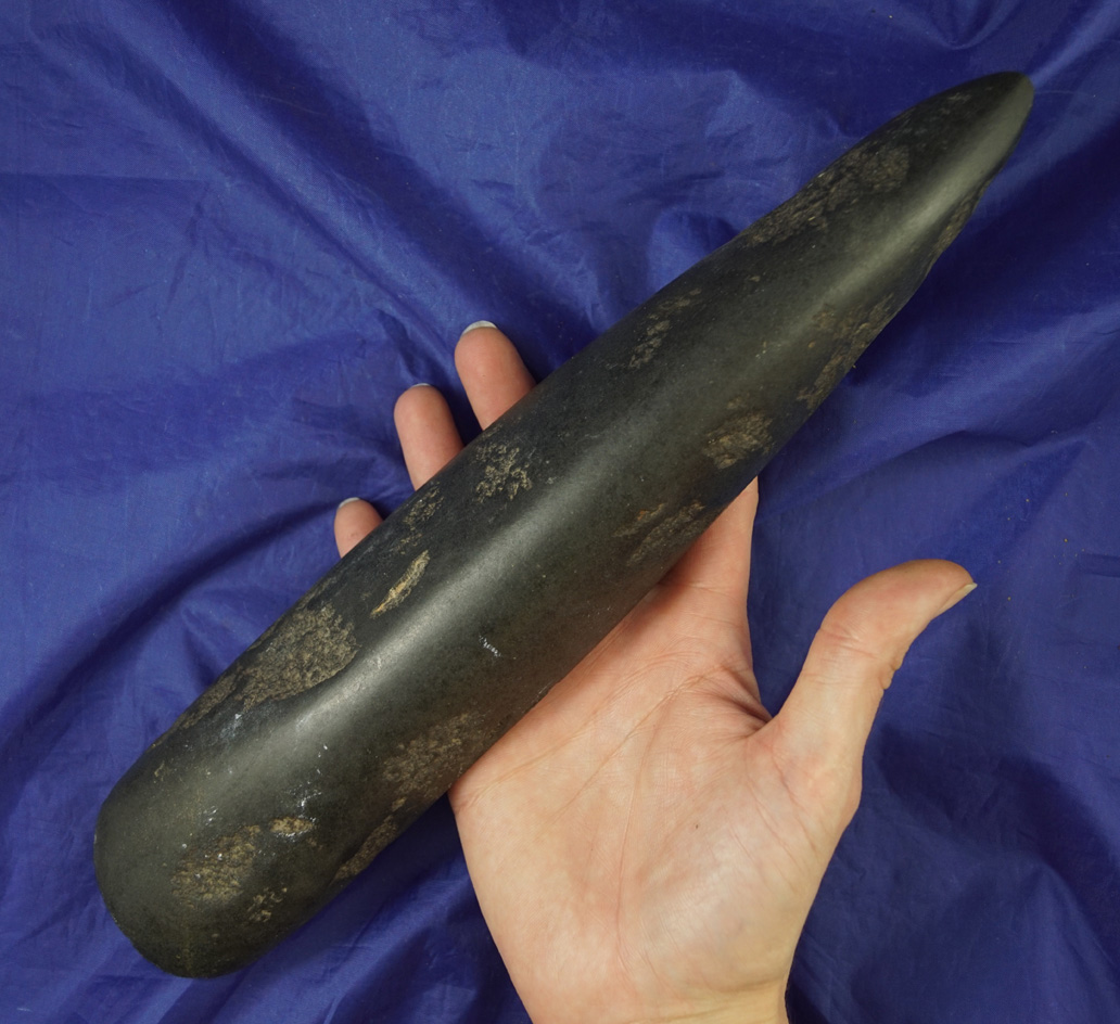 Huge! 11 3/4" nicely styled Hardstone Ridged Adze found near the upper Columbia River.