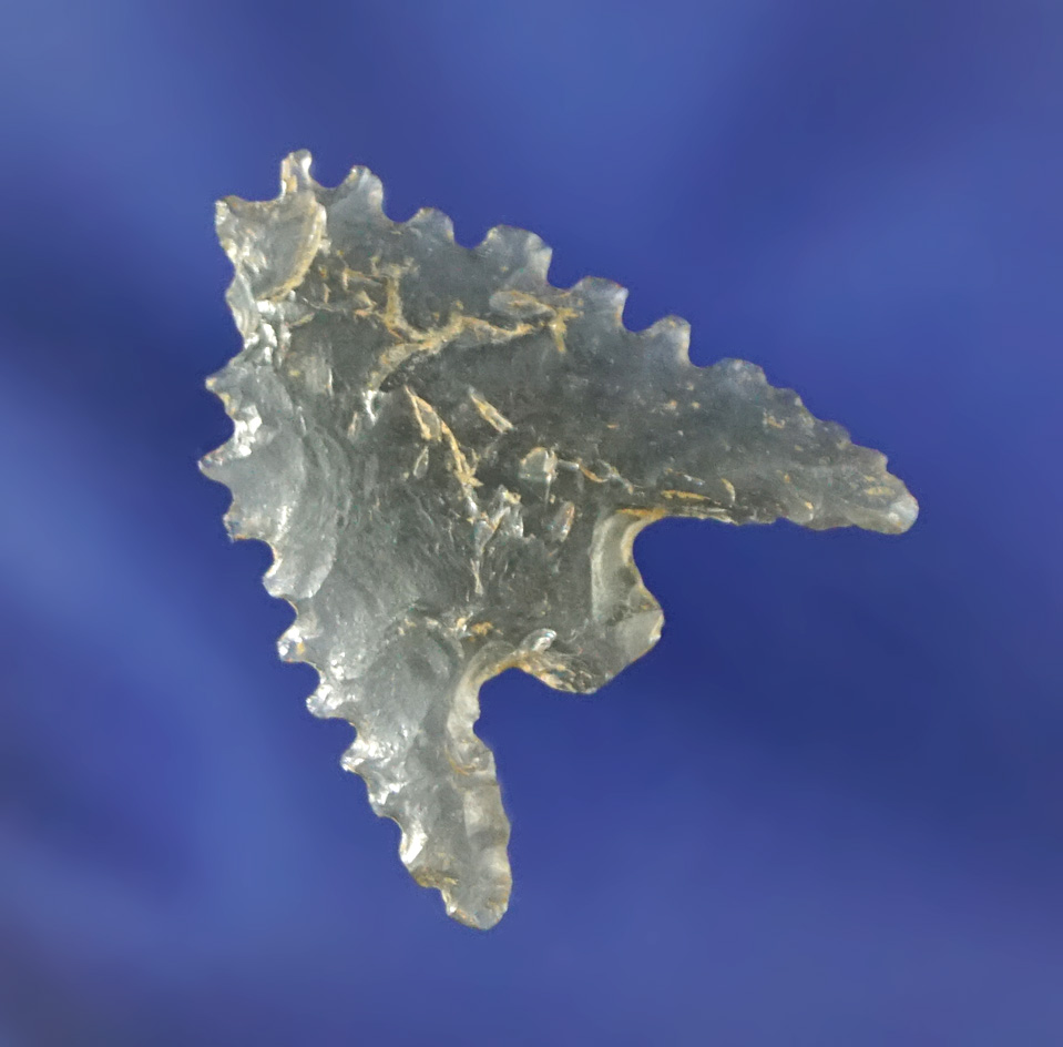 Wicked serrations on this 15/16" Obsidian point found in Shasta Co., California.