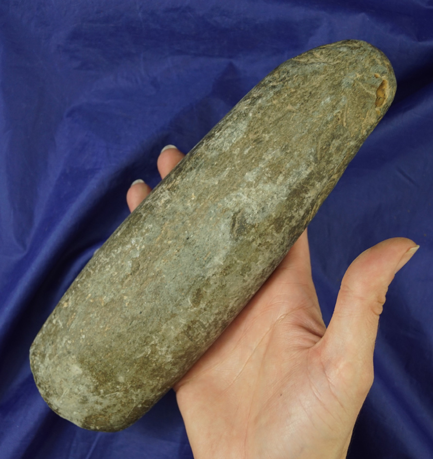 Large 8 7/8" Columbia River Adze that is nicely polished with an excellent style bit.