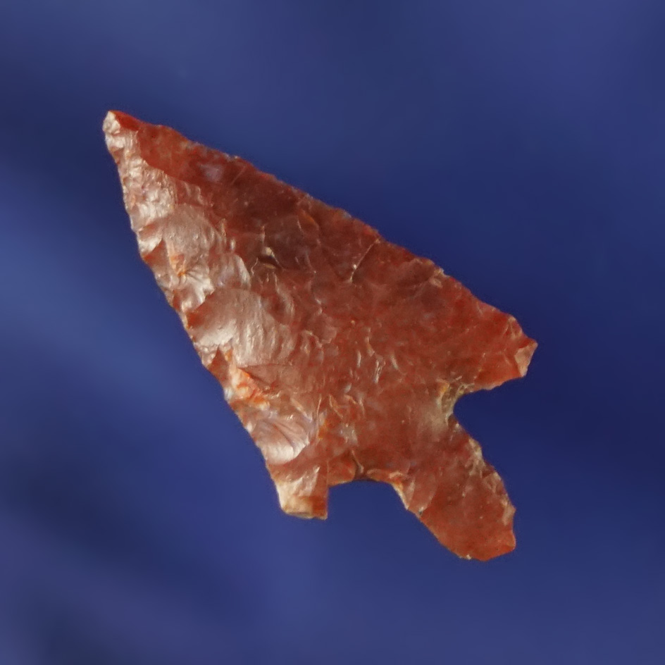 7/8 beautiful red Gempoint found by Kaye Don Bruce near the John Day Rapids, Klickitat Co., WA.