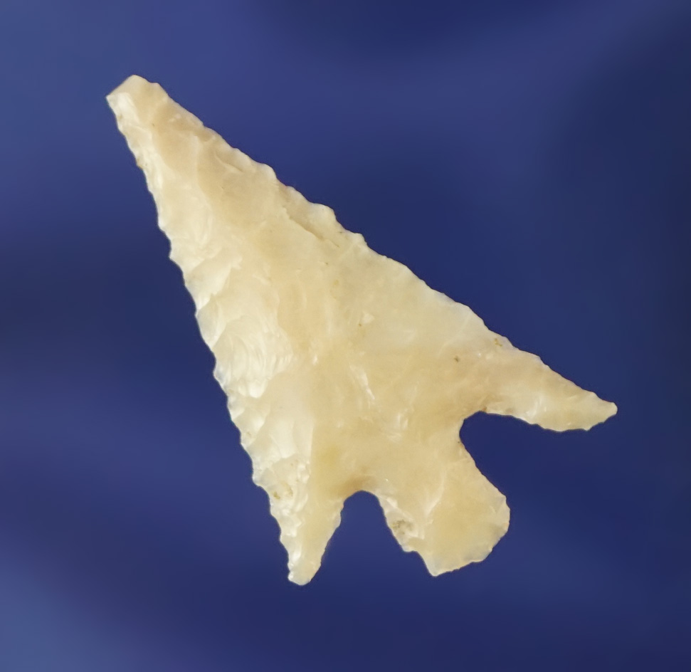 1 1/16" Columbia Plateau with a nice swept wing found by Kaye Don Bruce  in Klickitat Co., WA.