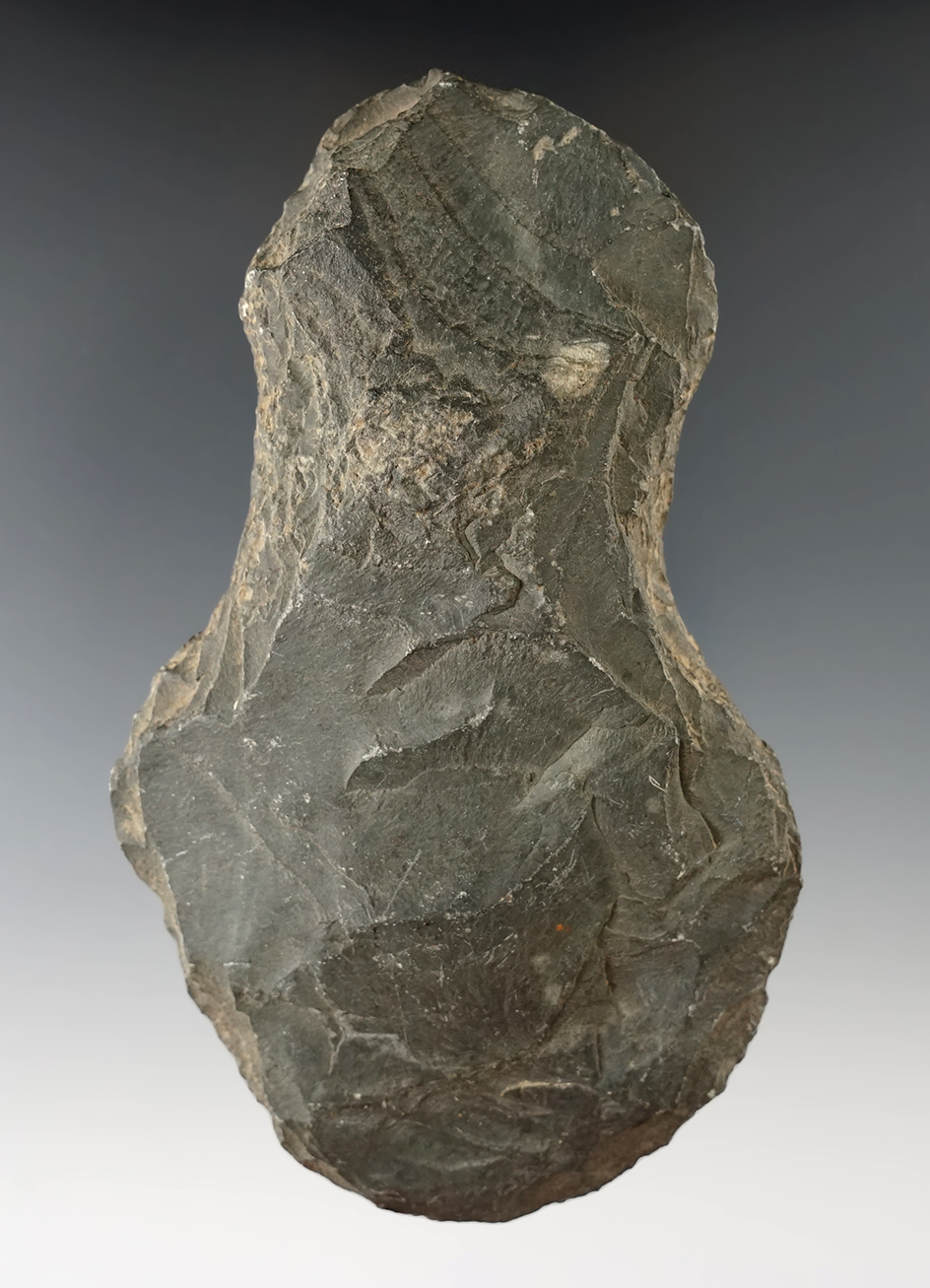 Unique! 5 1/8" Notched Hoe made from Slate found in Ohio.