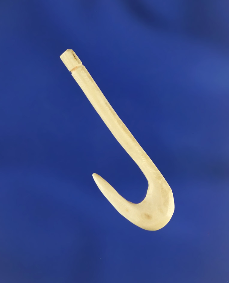 1 1/4" bone Fishhook found in Kentucky in excellent condition.
