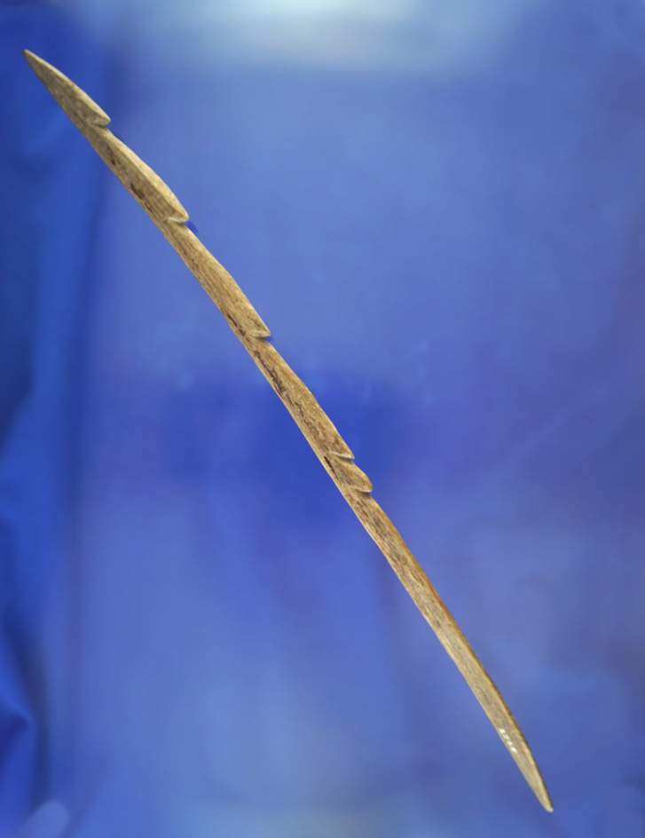 Very rare and unique! Large 11 11/16" long Harpoon Tip in excellent condition found in PA.