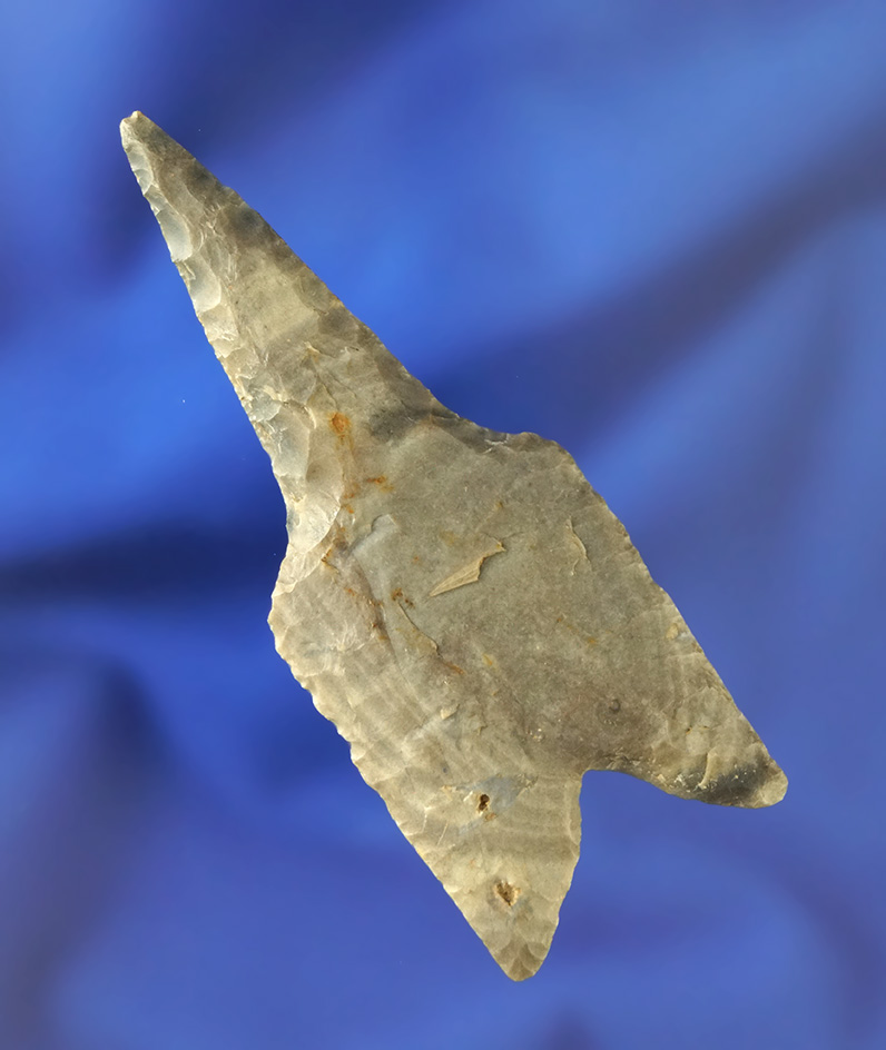 Exceptional! 3 1/8" very thin and exceptionally well flaked Dalton Drill found in Union Co.,  Illino