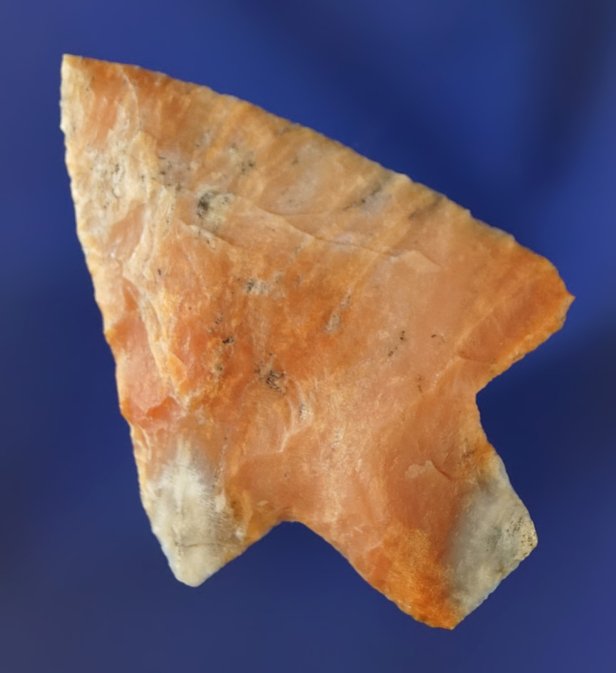 Attractive material on this 2 1/2" Newnan point found in Pasco Co.,  Florida.