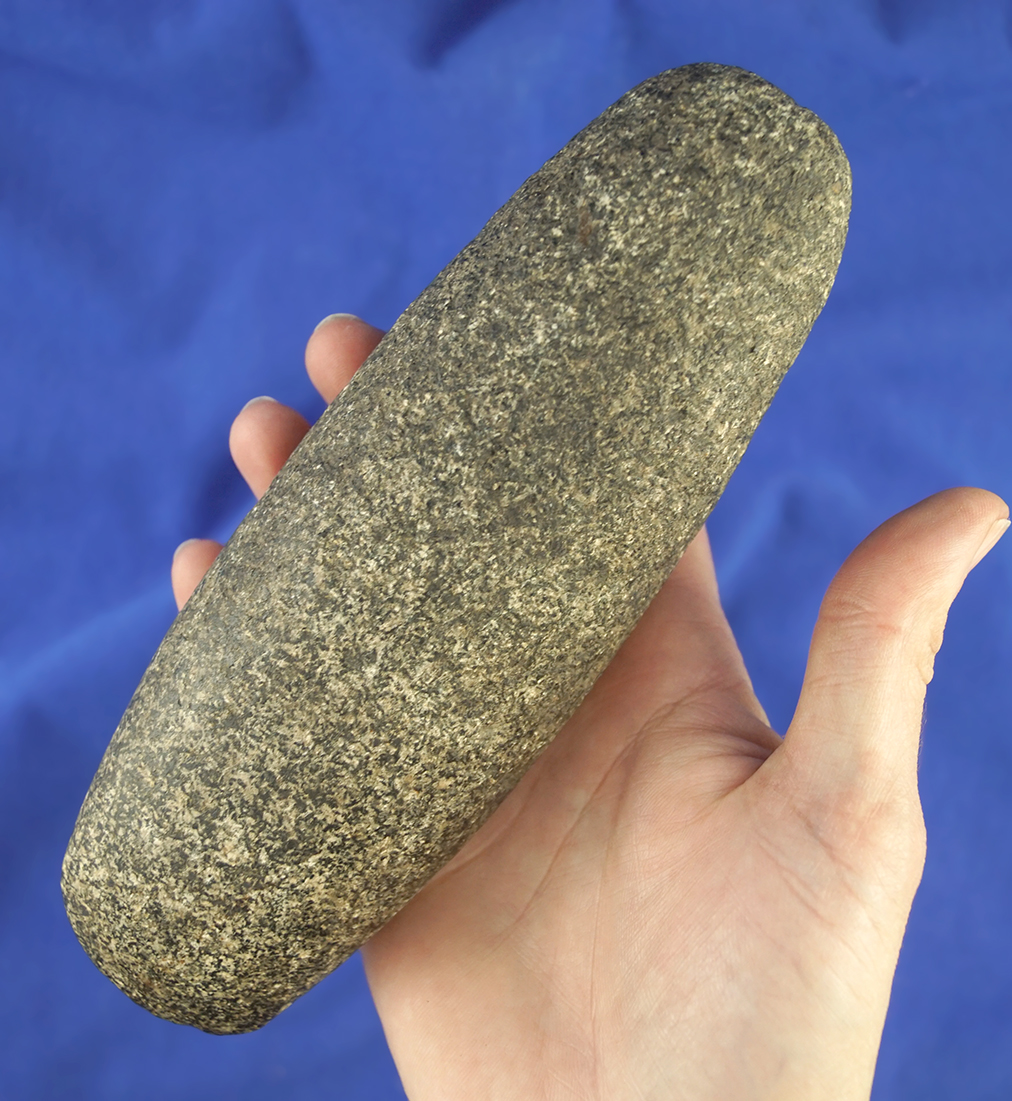 Nicely crafted 7 1/8" granite Celt in very nice condition with use polish to the bit end.