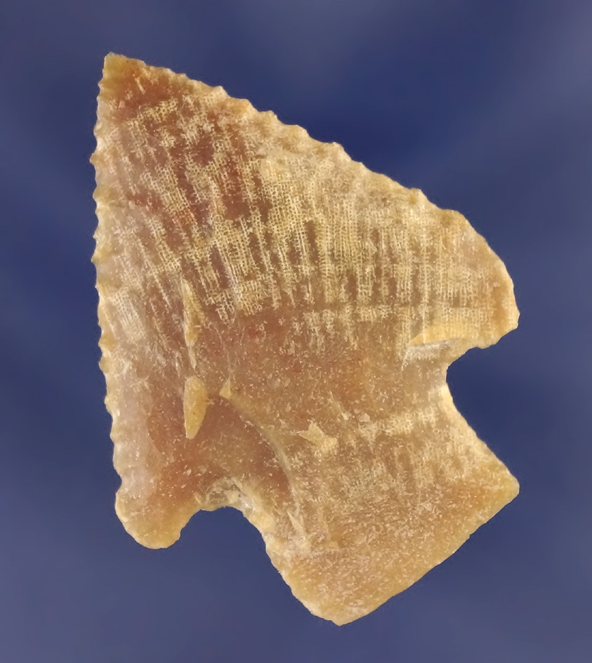 1 7/8" Newnan point made from coral found in Pasco Co.,  Florida.