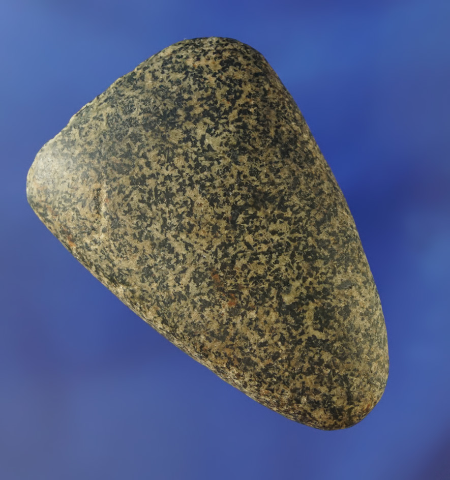 2 3/4" highly polished Hardstone Adze found in Hillsdale Co.,  Michigan.