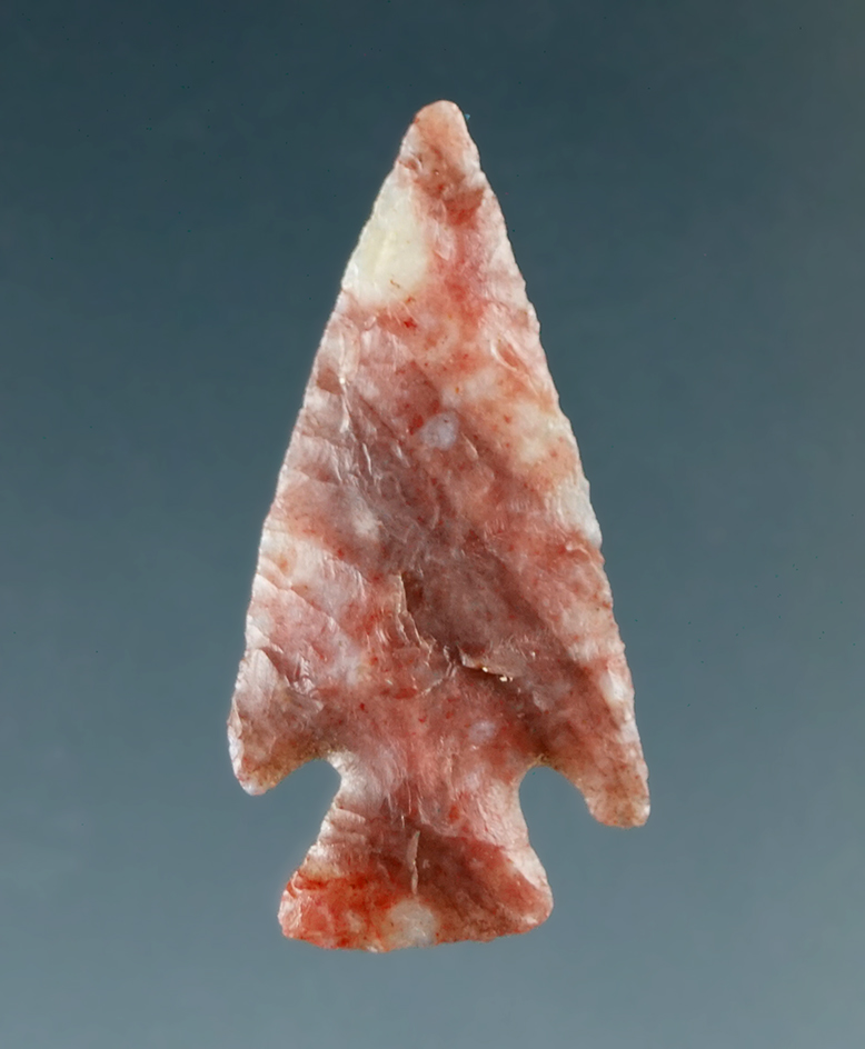 15/16" Hog Back found in Springfield, Colorado.