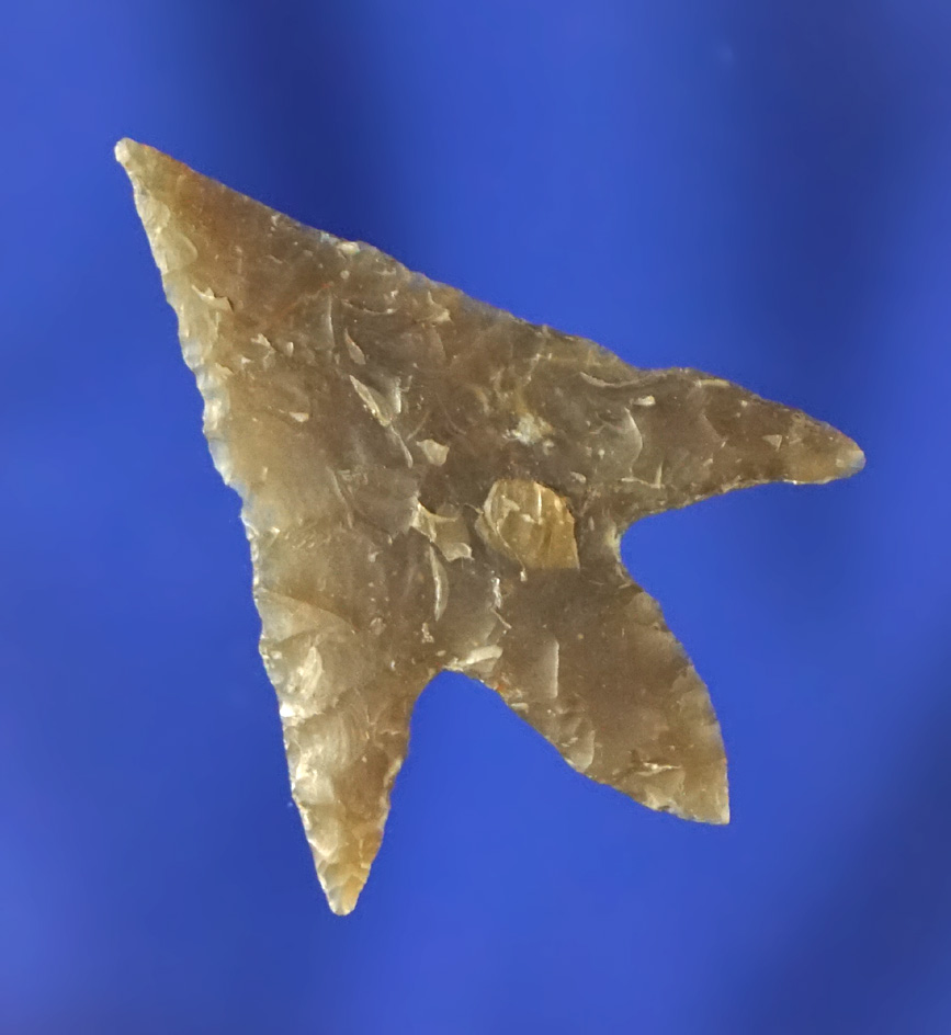 1 5/16" Perdiz point that is thin and very well styled. Found in Bandera County Texas. Rogers COA.