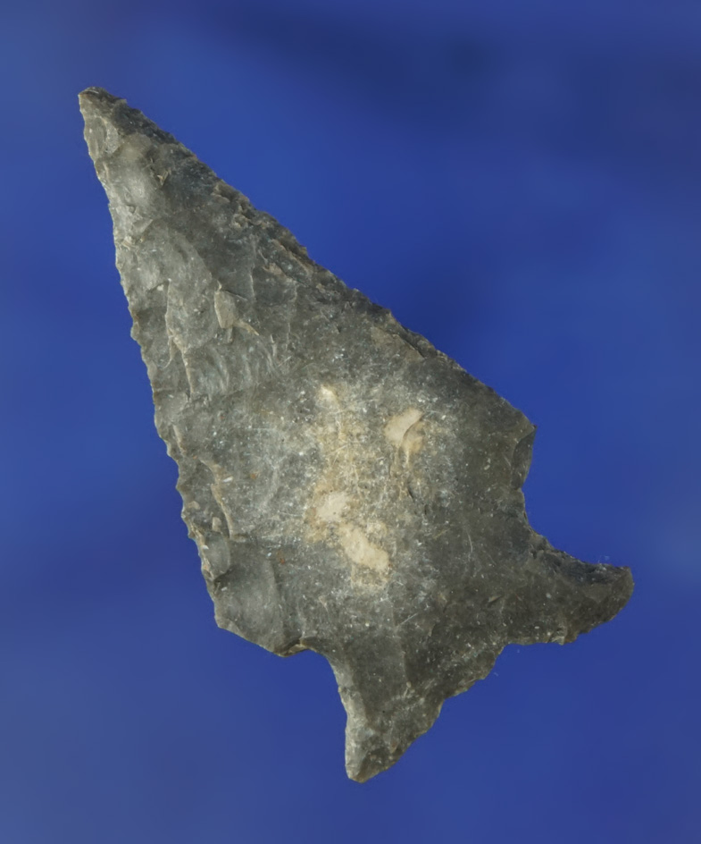 1 7/8" Frio found in Texas. Ex. Wallace Culpepper, Ferrell collection.