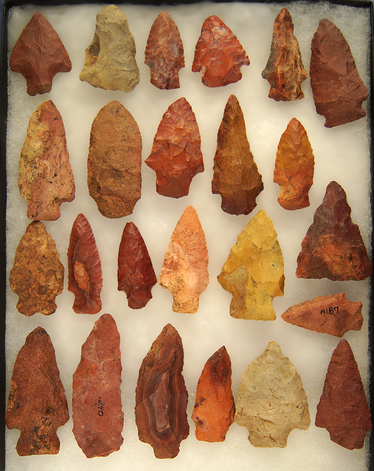 Group of 24 assorted colorful Arrowheads found in Mississippi. Largest is 3 1/16".