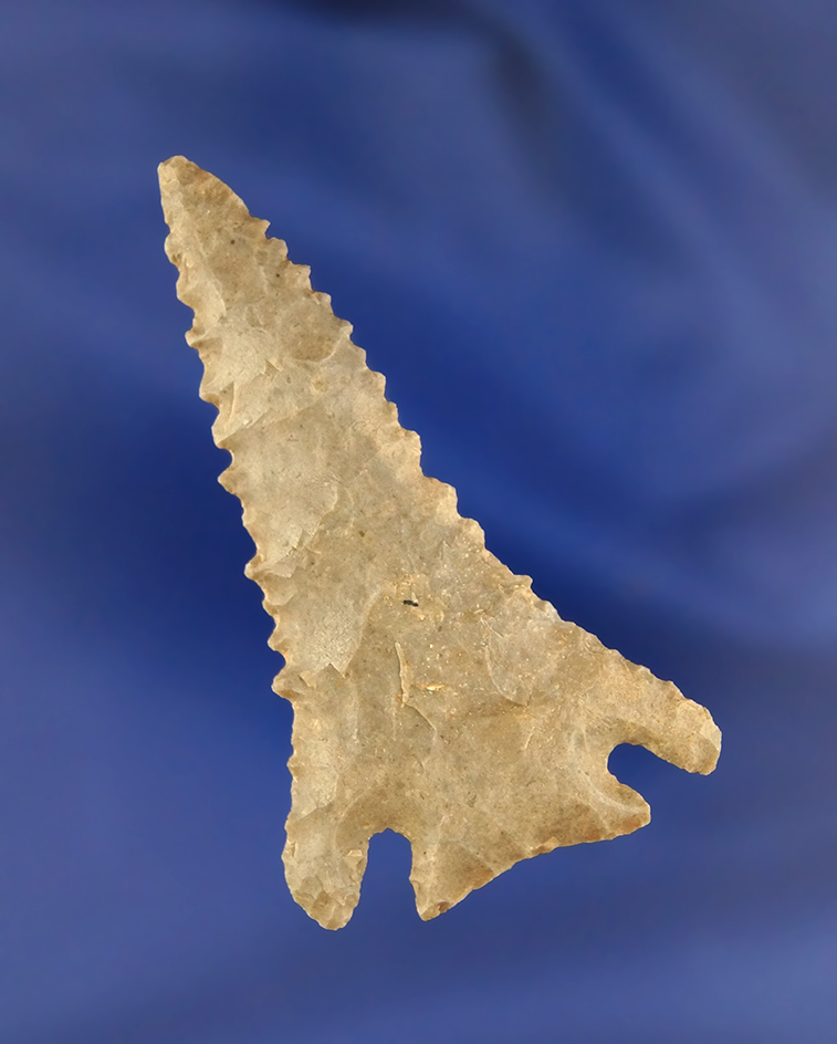 Exceptional 2 3/8" serrated Pinetree found in Simpson Co.,  Kentucky.