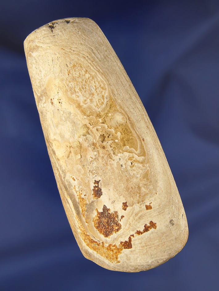 Rare 3 7/8" Shell Celt found in Florida, Howe Key.