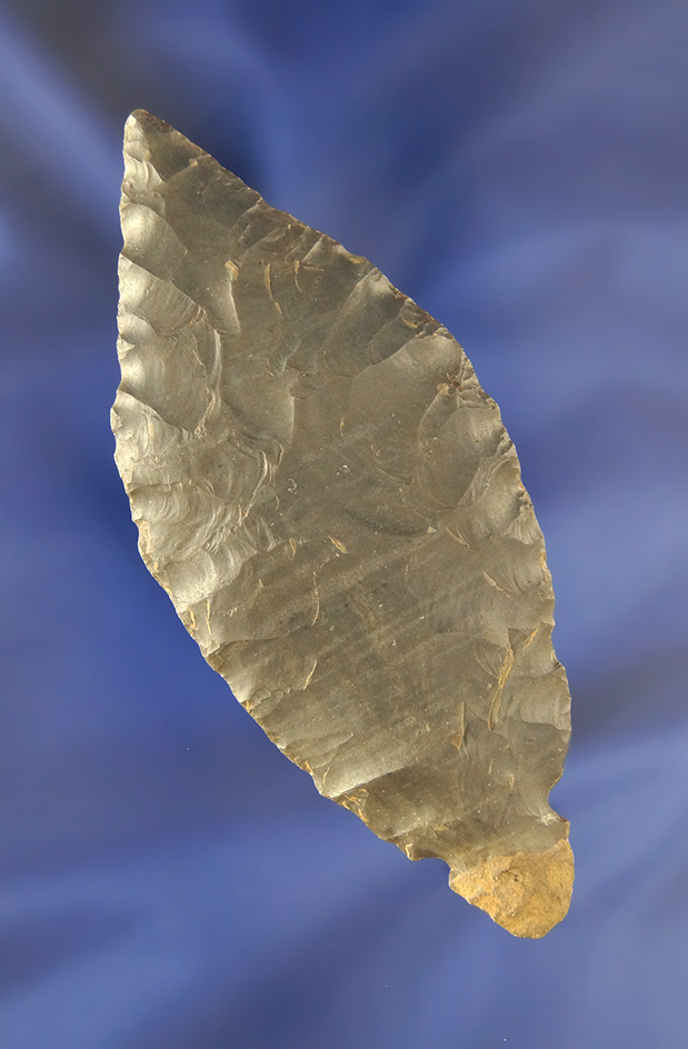 4 1/8" Turkey Tail found in Wilson Co., Tennessee. Bennett COA.