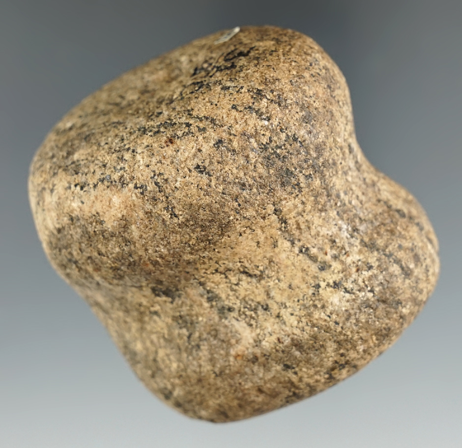 2 1/2" Grooved Hammerstone made from Gneiss. Found in Richland County Ohio.
