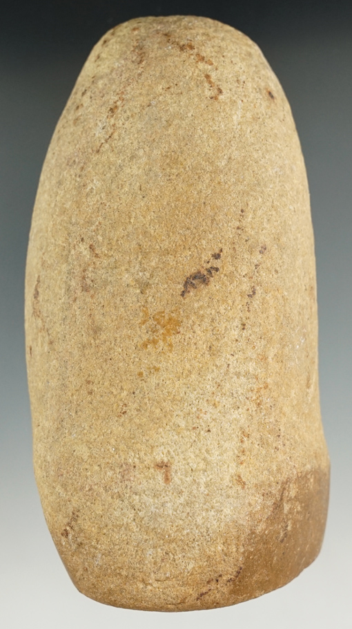 5 1/2" Pestle Ex. William Waigle. .