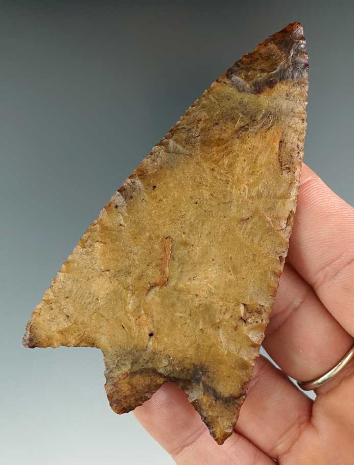 Exceptional! 3 5/8" Beautifully flaked Hillsboro point made from fossilized coral found in Florida.