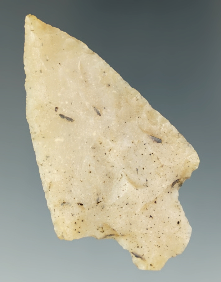 2 9/16" Well patinated Stemmed Knife. Found in the 1970's by Eric Sowa in Florida. Ex. Layshock