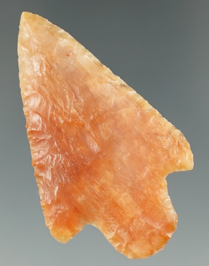 Exceptional material color! 2 1/4" Nicely flaked heat treated stemmed point. Found in  Florida.