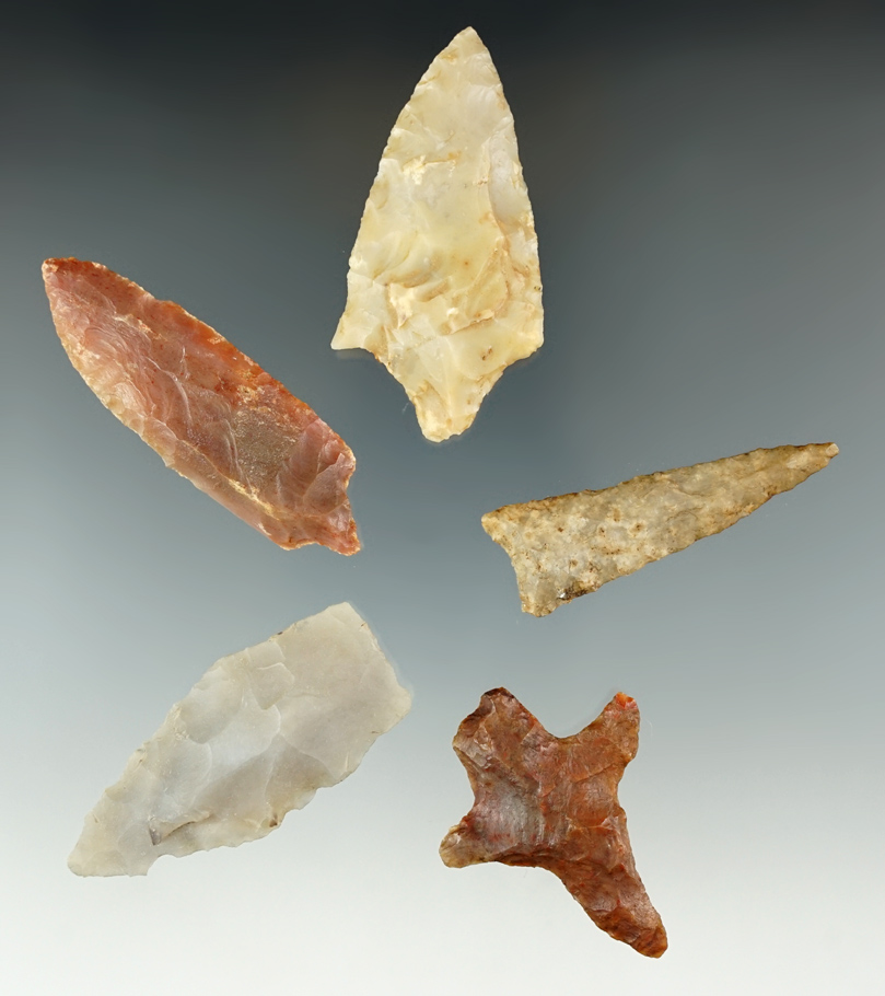 Set of five assorted flaked artifacts, largest is 2 5/8". Found in Florida. Ex. Pat Layshock collect