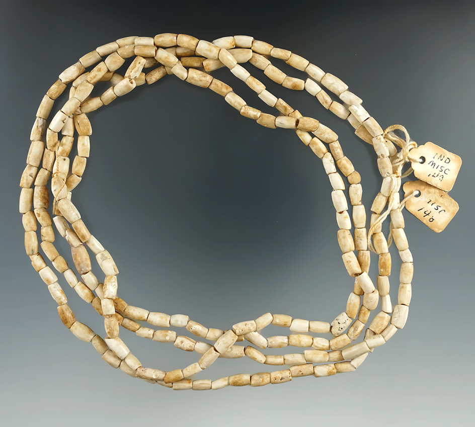 Very long 64" drilled shell bead Necklace found in Indiana.