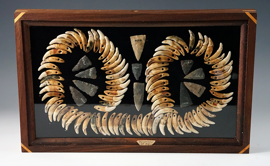 Beautiful framed group of drilled canine teeth and 11 Mississippian triangle points. Kentucky.