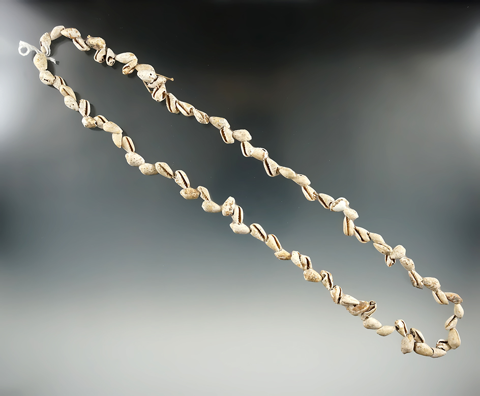 22" Long strand of snail shell beads.