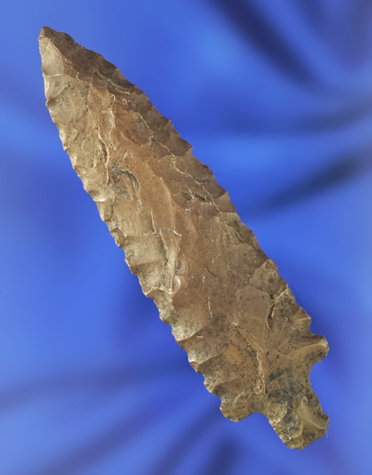 Rare! 2 13/16" Bear Point that is nicely patinated in excellent condition found in Alaska.