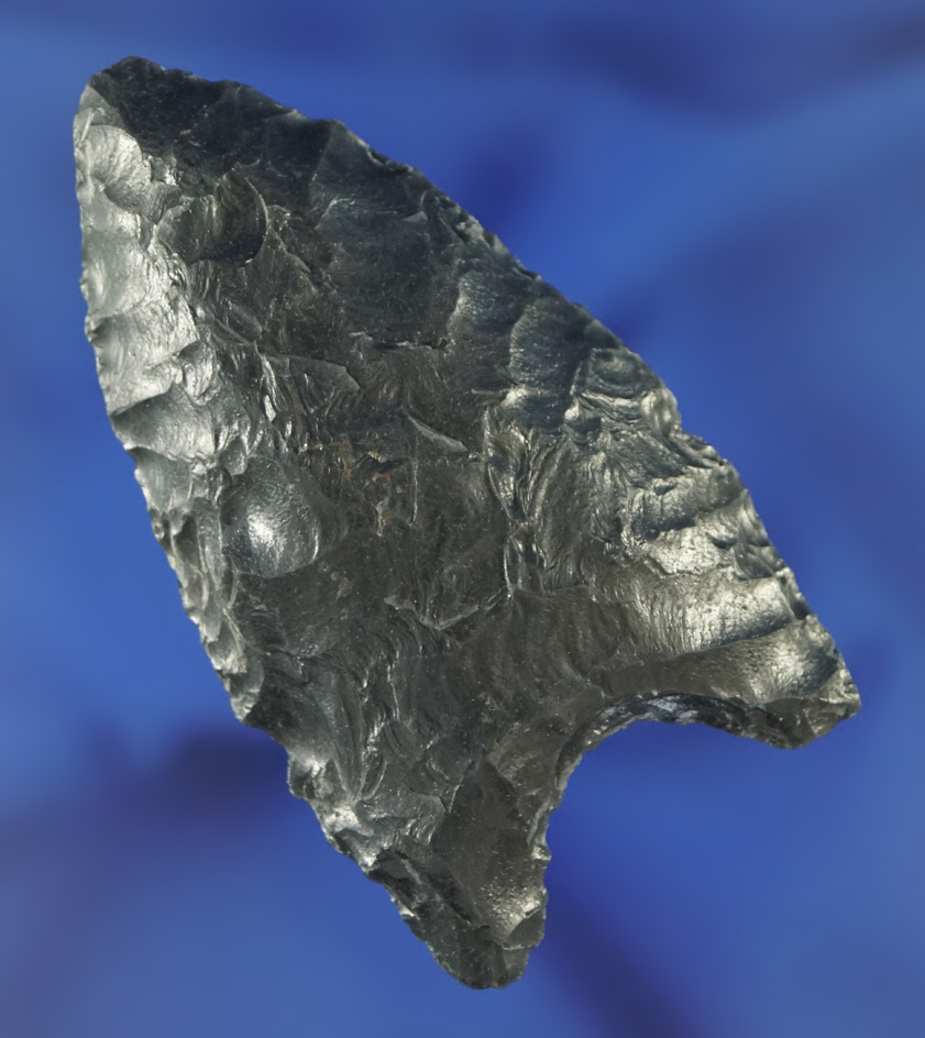 Uniquely styled 2 3/8" Sierra Concave Base found near Delano, Kern County California. Stermer COA.