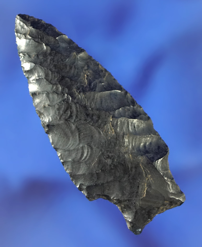 2 1/16" Paleo Windust made from obsidian found in Idaho.