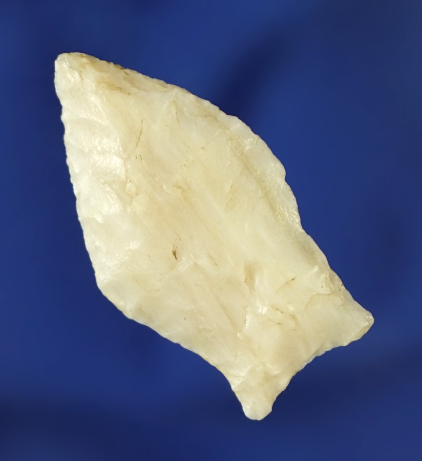 1 1/4" Paleo Spedis Fishtail found near the Columbia River, WA - Agatized Wood.  Bennett COA.