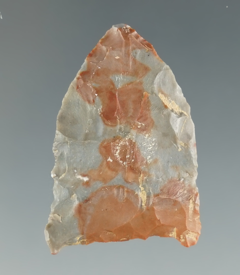 1 5/16" rare style Paleo Jeff Point - Horse Creek Chert. Found in Alabama. Pictured in "Overstreet"