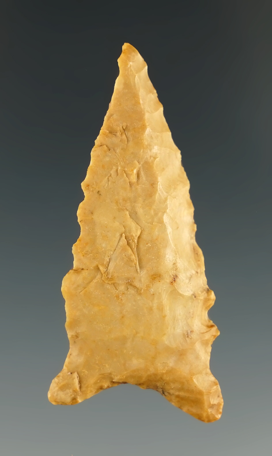 1 7/8" Beveled Dalton, found in Arkansas.