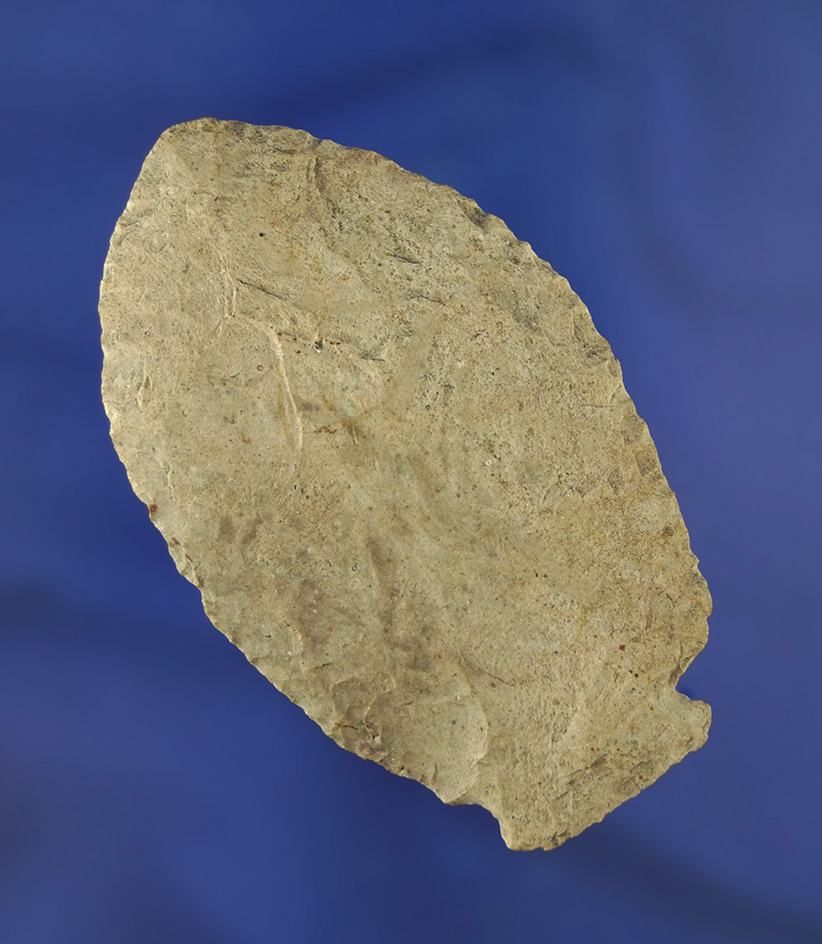 Thin for size, 3 1/16" Sidenotch Ovoid Knife found in Michigan.