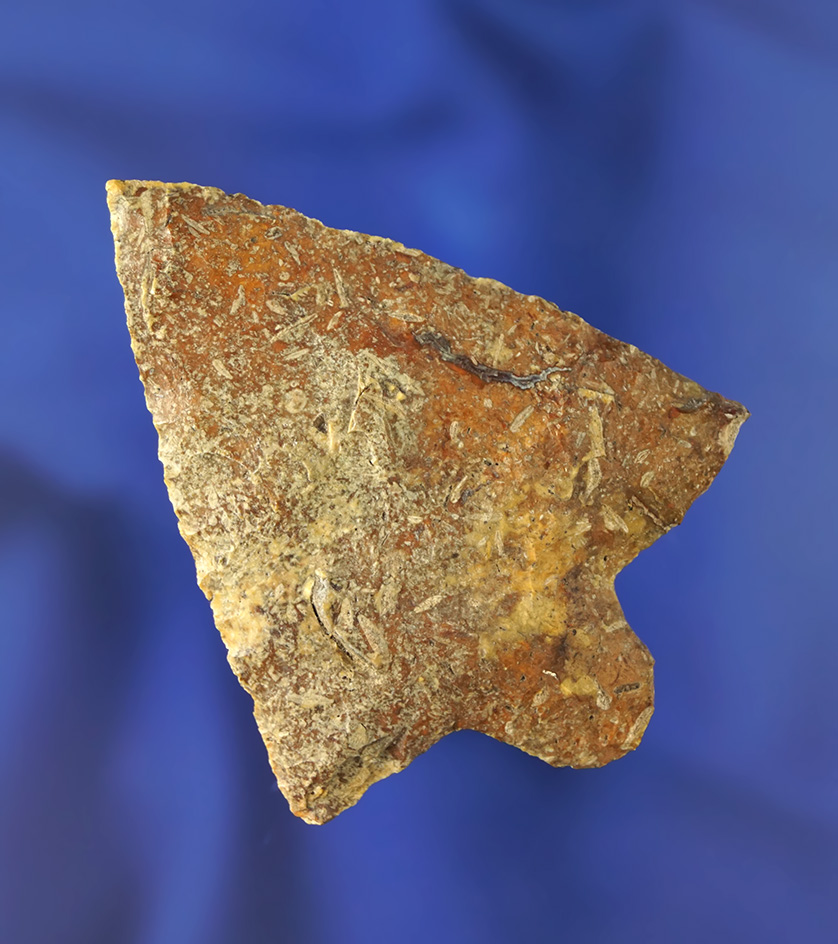 2 7/16" Marion Found in Pasco Co.,  Florida. Pictured in Who's Who #10, page 287.