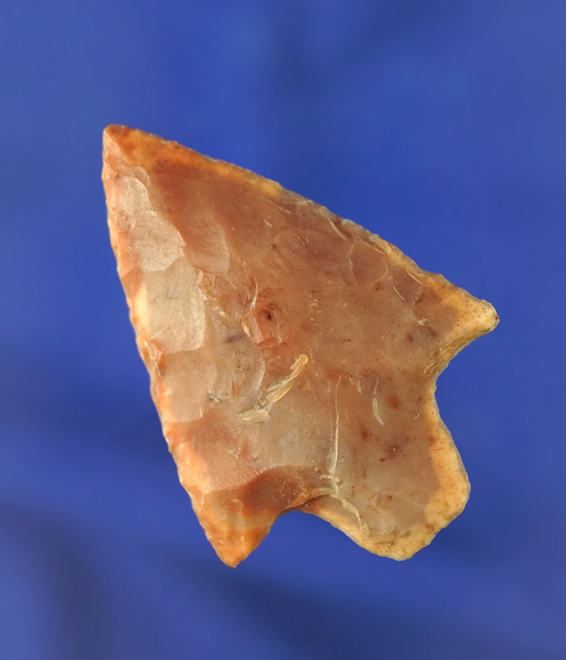 2 3/16" Newnan made from beautifully colored material. Found in Pasco/Pinellas Co.,  Florida.