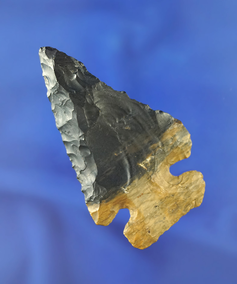 Heavily beveled 2 13/16" Archaic Thebes made from Moline Flint found in northern Illinois.