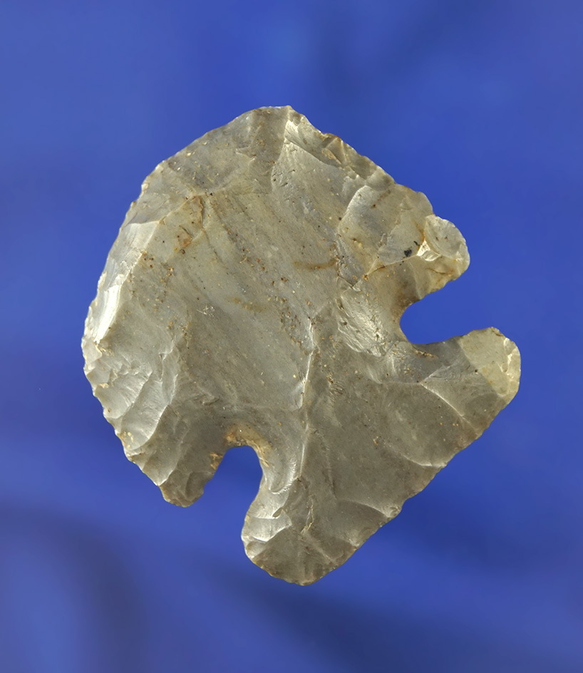 1 3/4" Hornstone Thebes Hafted Scraper found in Ohio. Very nice example.