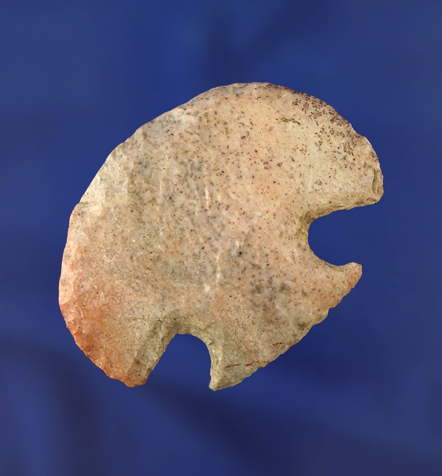 2 1/4" wide Snyders Hopewell Hafted Scraper found in Western Kentucky. Ex. Gary Noel.