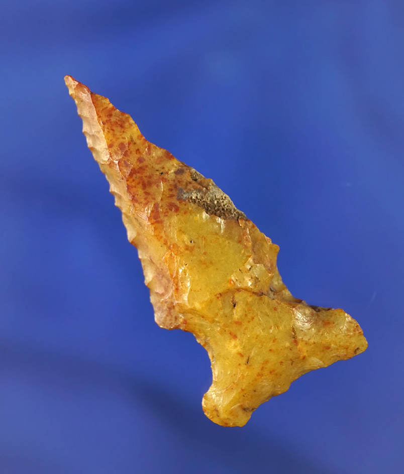 2 3/8" beautifully styled Archaic Bevel made from nicely translucent heat-treated Agatized coral