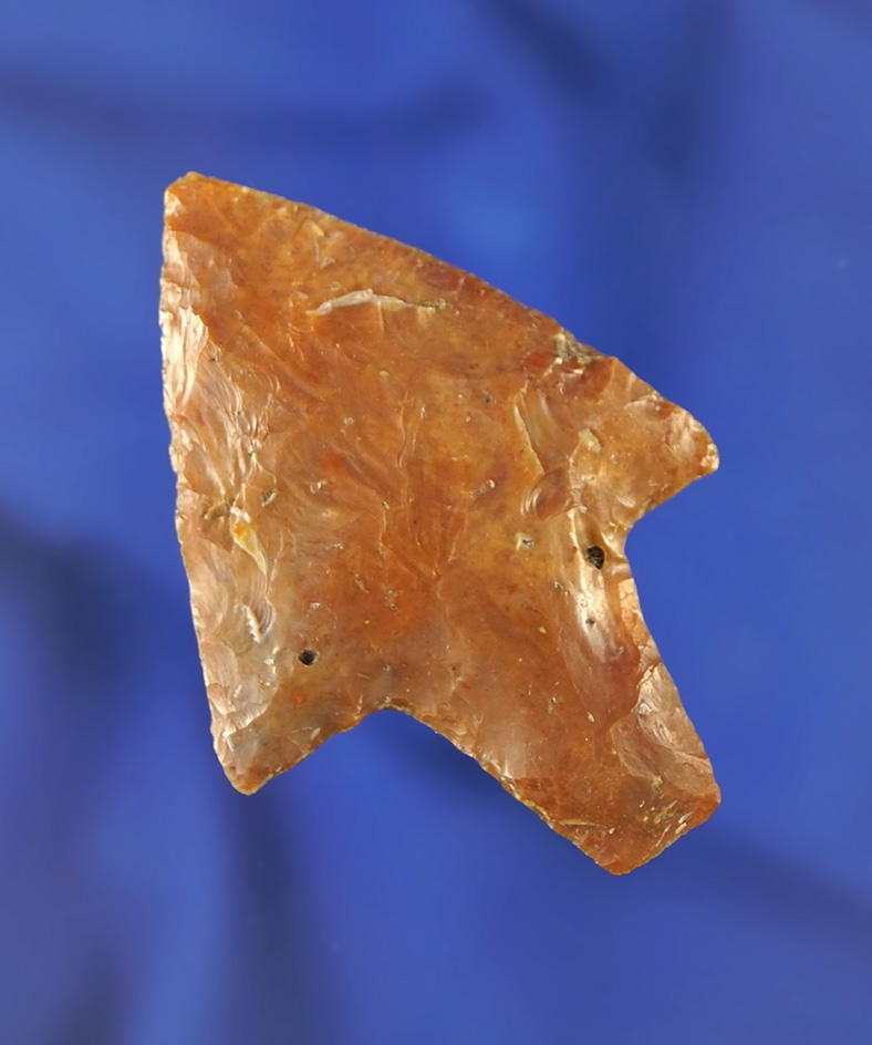 2 3/8" Newnan that is very well styled. Found in Pasco/Pinellas Co.,  Florida. Pictured.