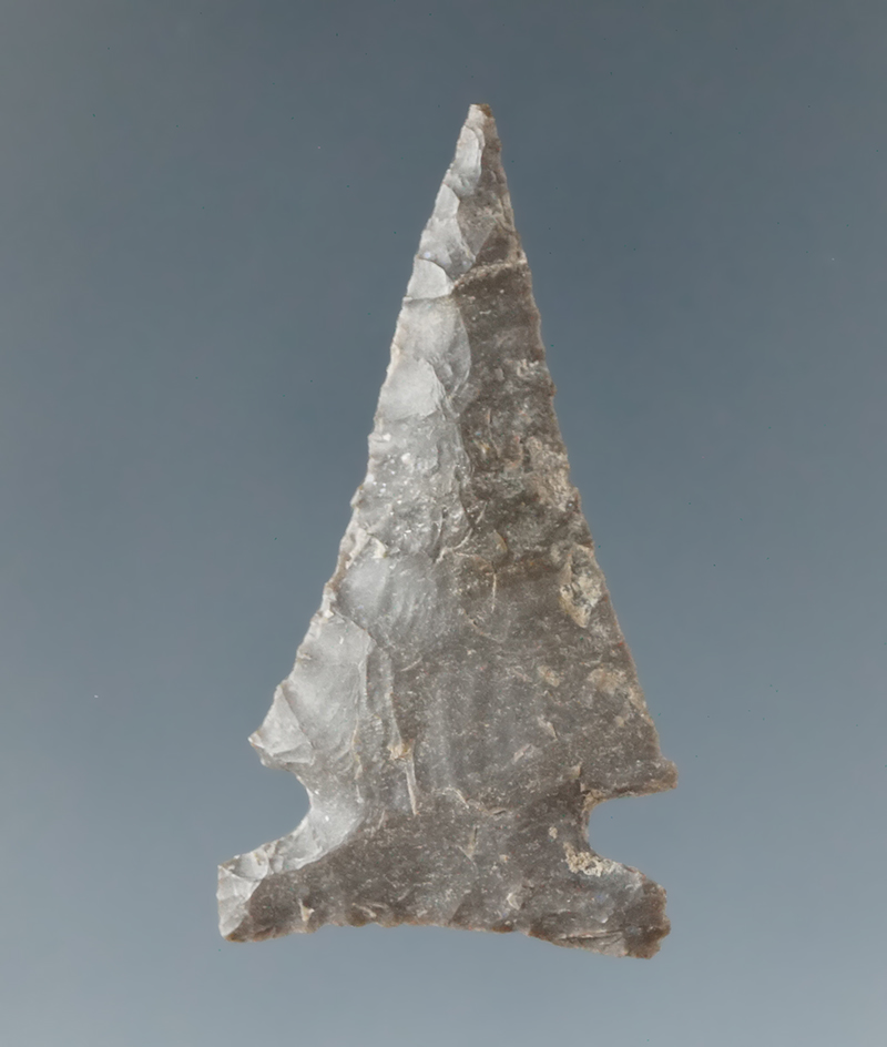 Ex. Museum! 1 5/16" Classic style Caracara point with excellent flaking, found in New Mexico.