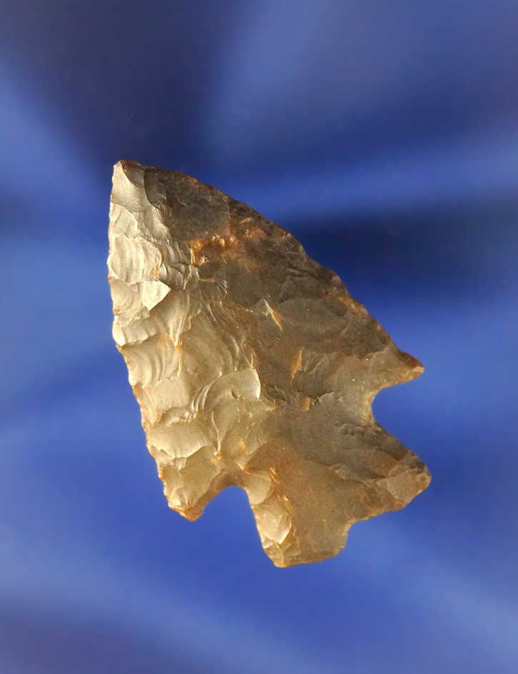 1 7/16" Pelican Lake found in Colorado.