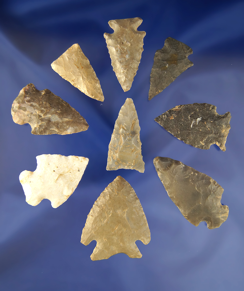 Set of set of nine assorted Arrowheads, largest is 2". Found by Clifton Reeder  Kentucky.